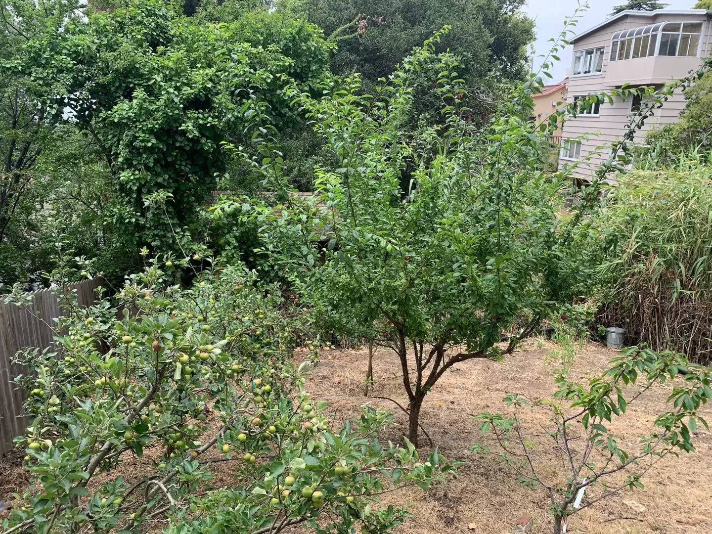 Property Image 9