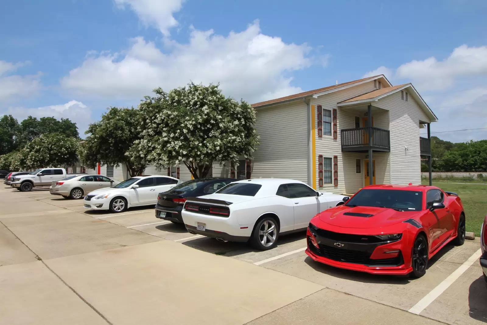 Property Image 13