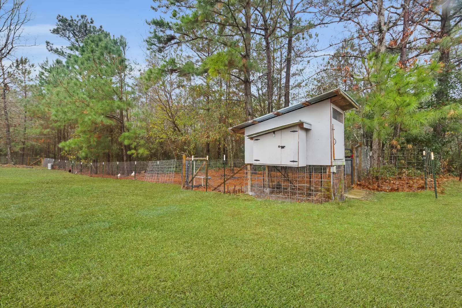 Property Image 25