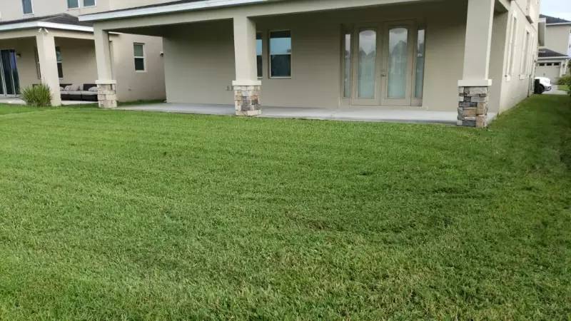 Property Image 57