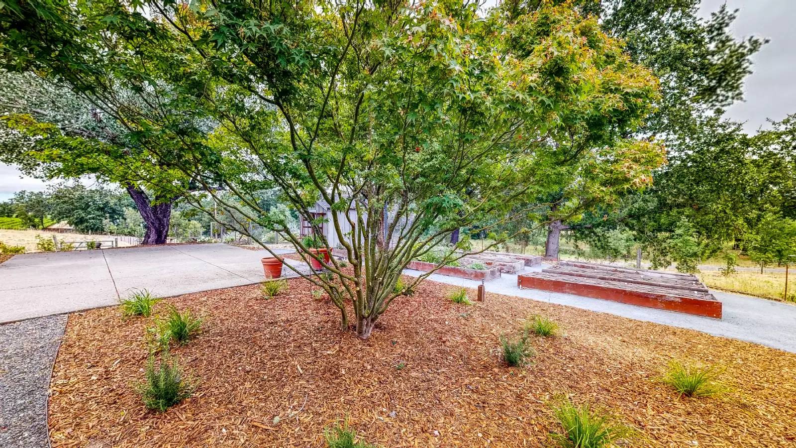 Property Image 84