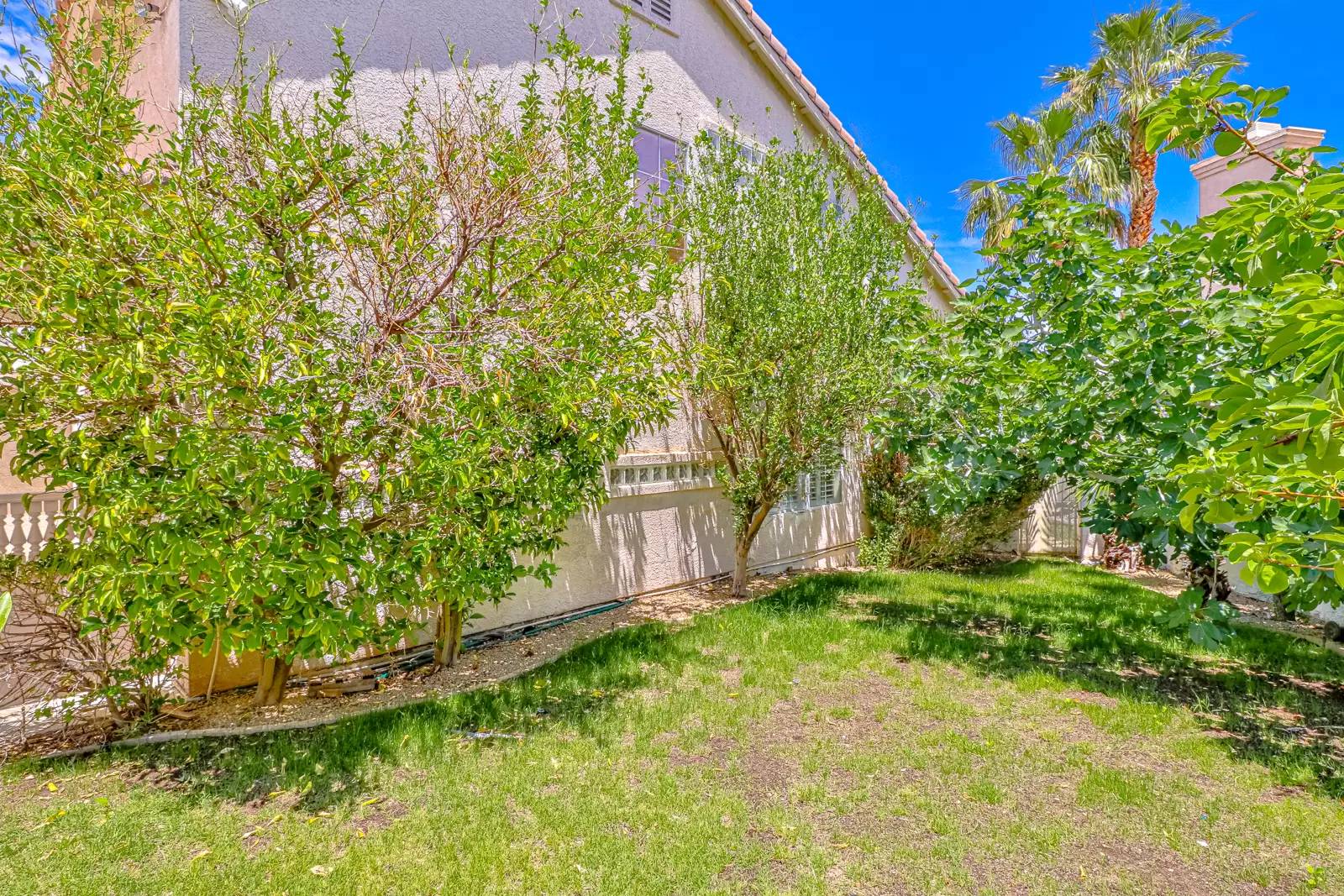 Property Image 61