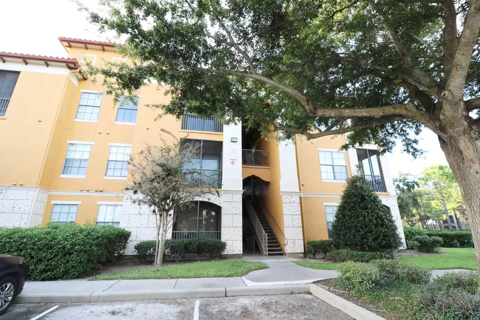 cover background