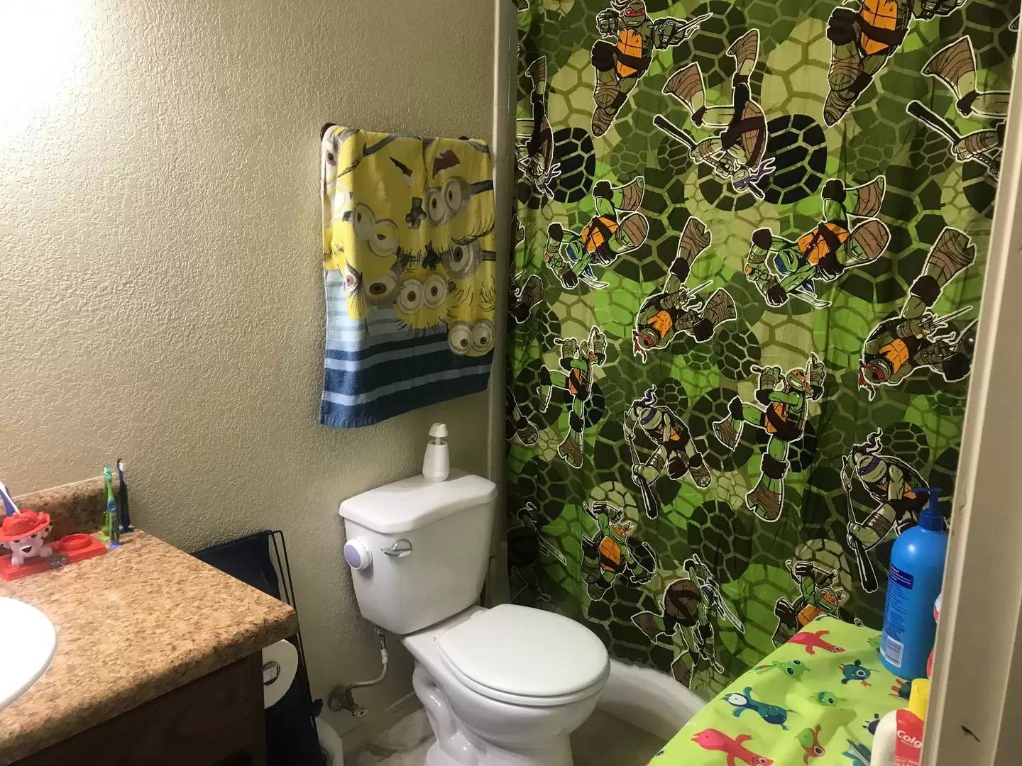 Property Image 17