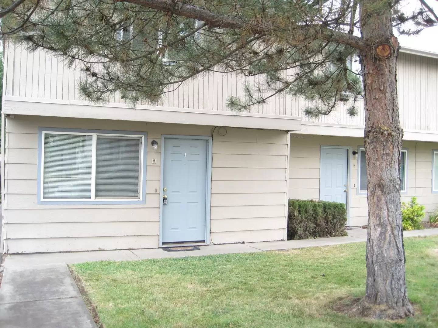 cover background