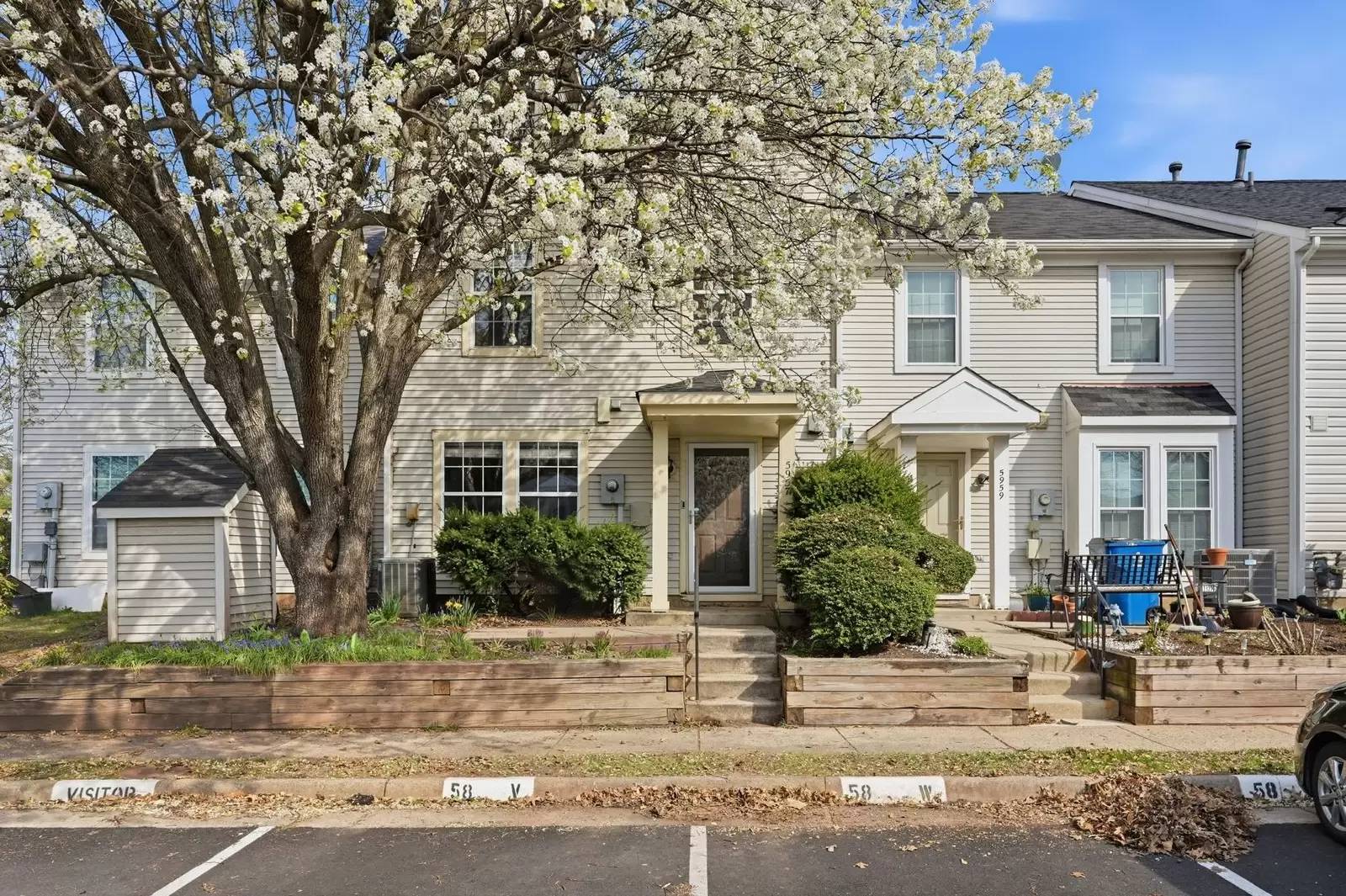 cover background