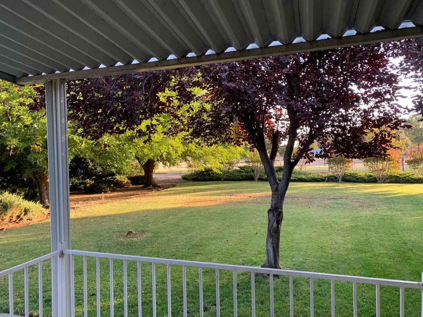 Property Image 41