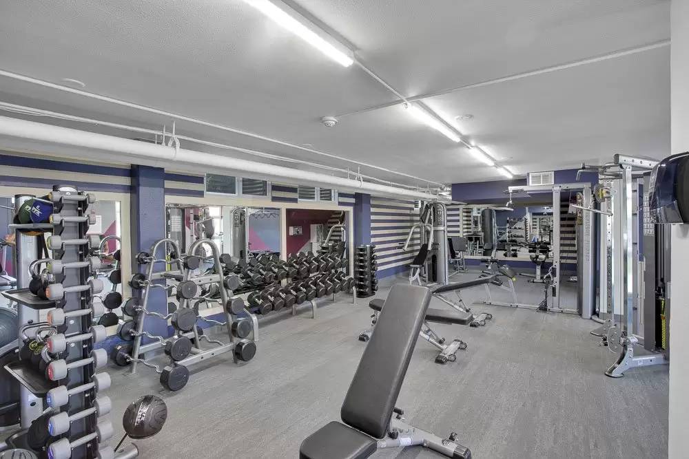 Property Image 21