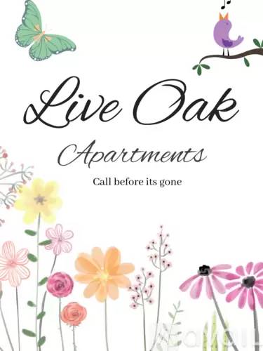 cover background
