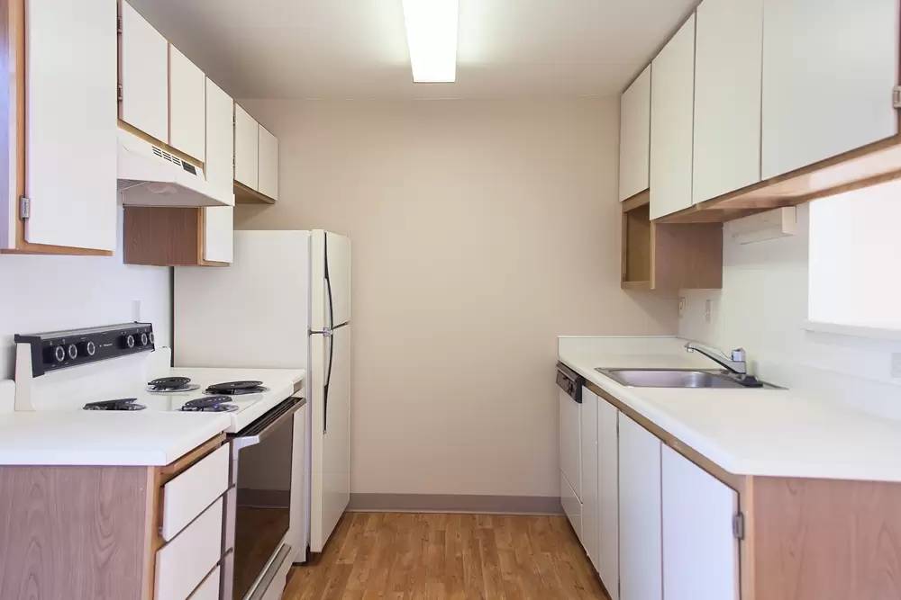 cover background