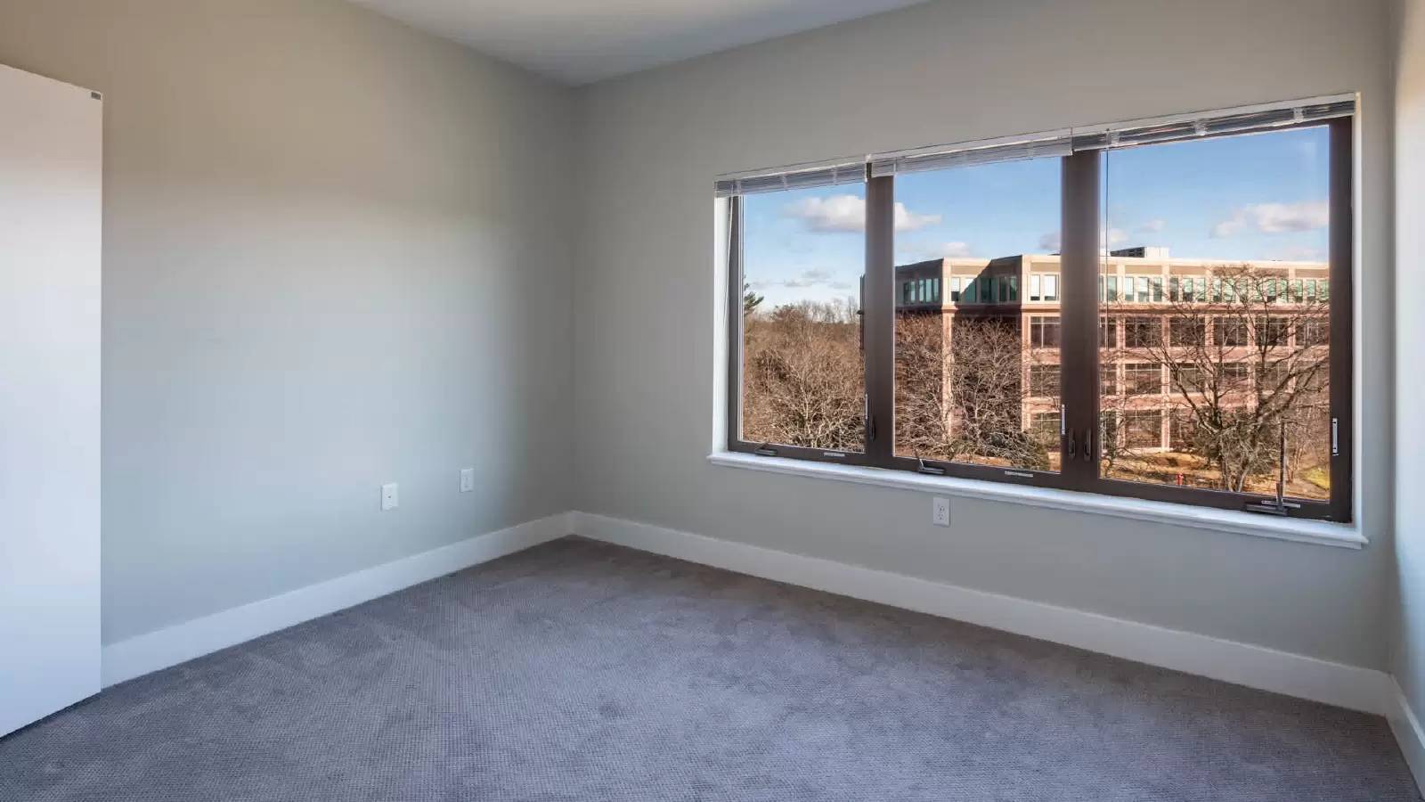 Property Image 86