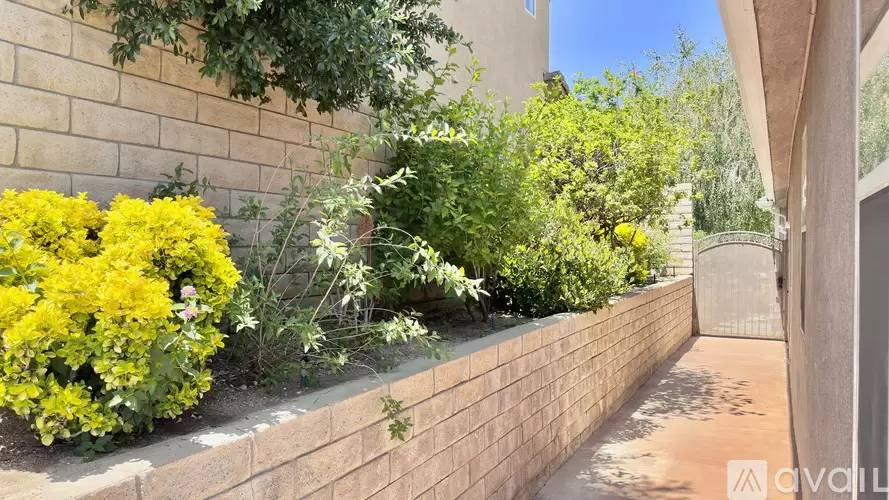 Property Image 44