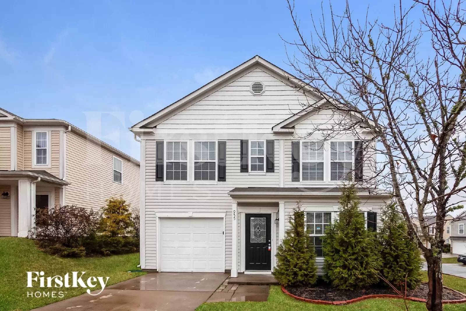 cover background