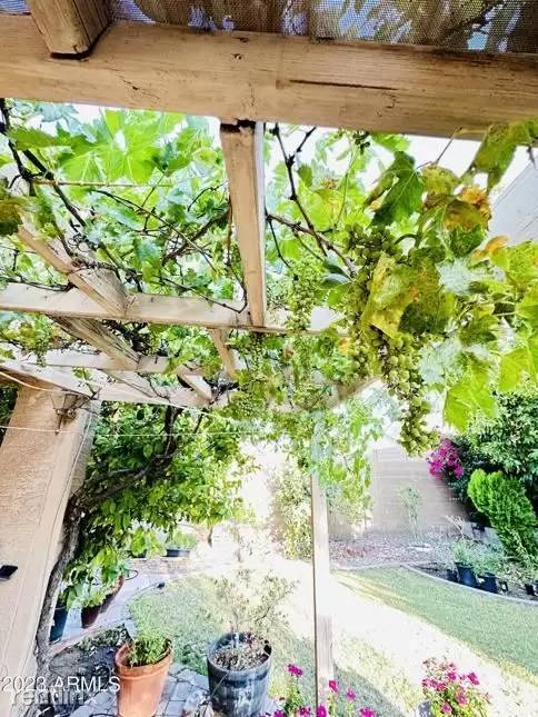 Property Image 49
