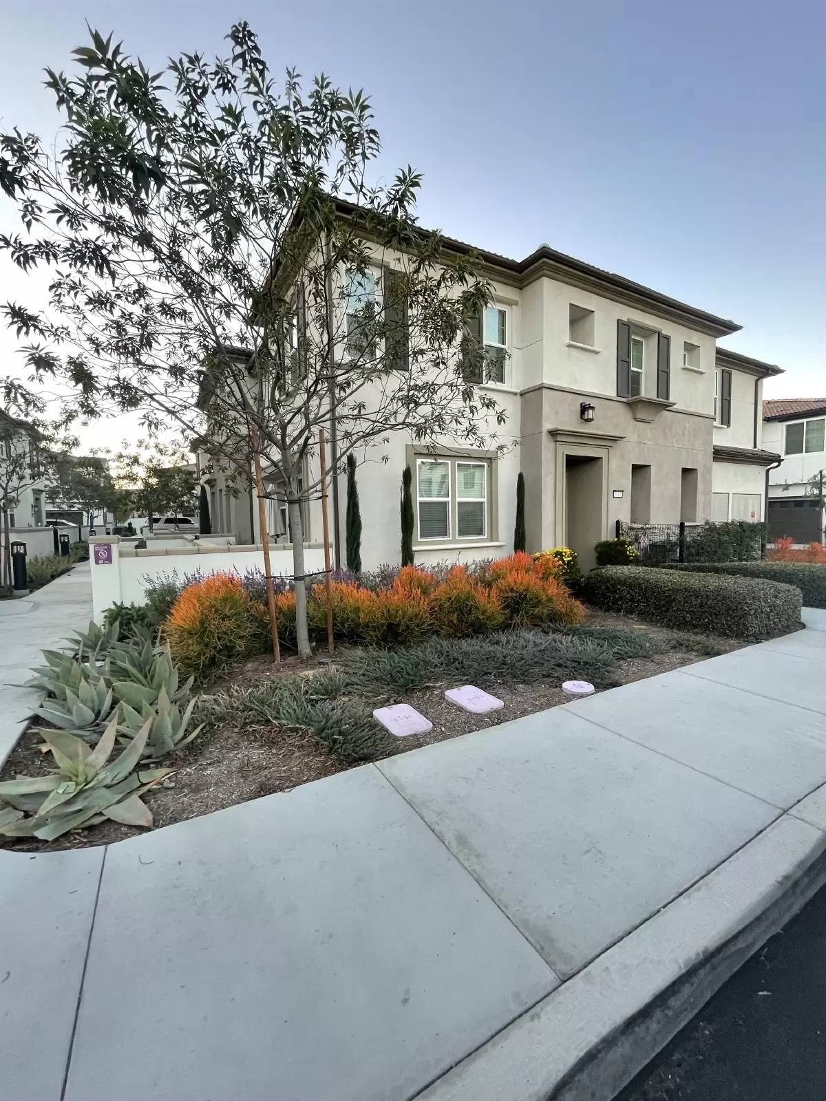 cover background