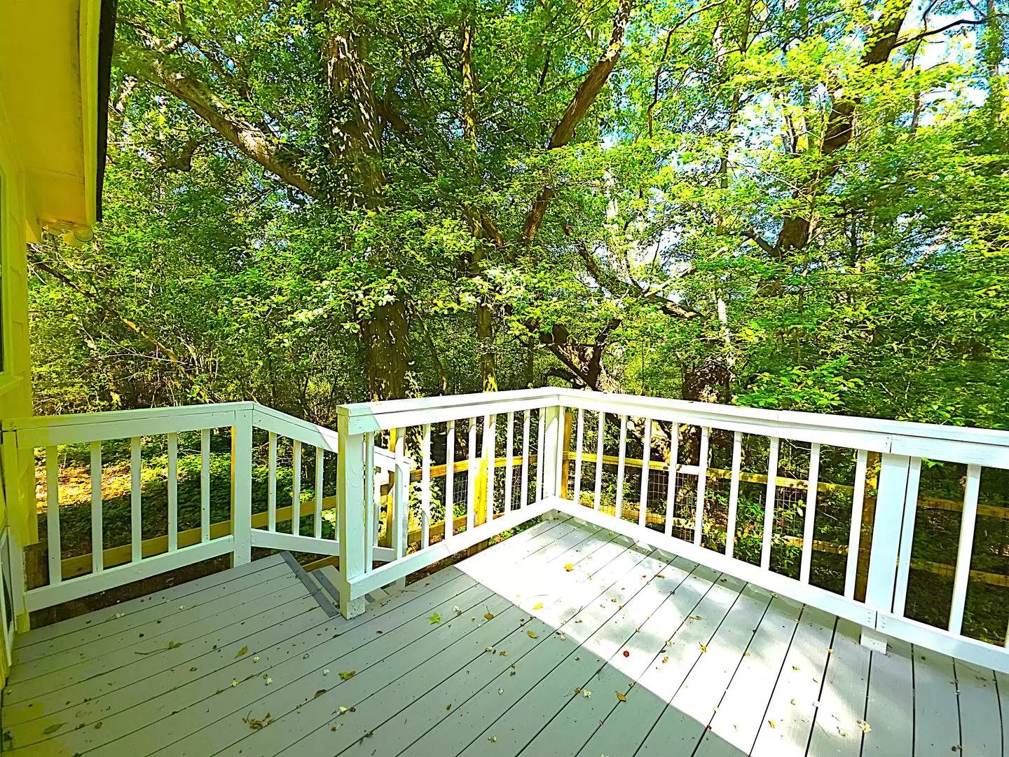 Property Image 57