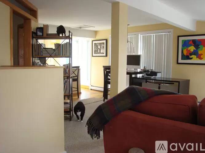 Property Image 33