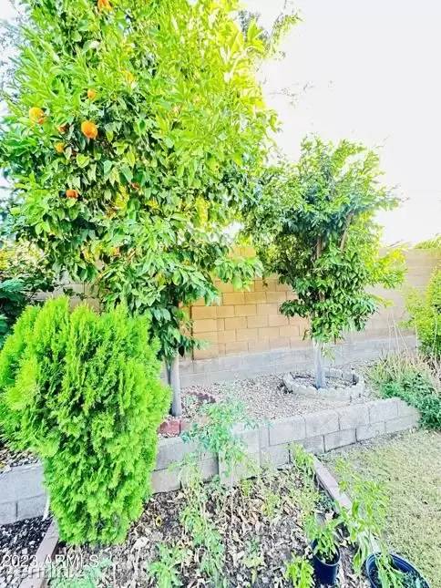 Property Image 65