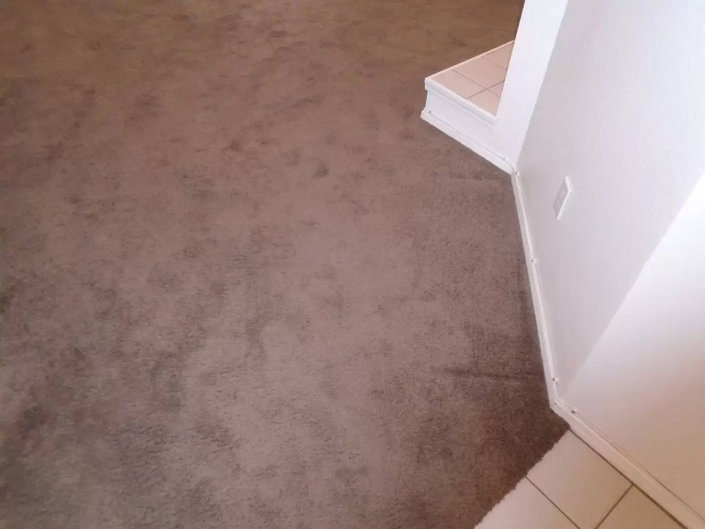Property Image 156