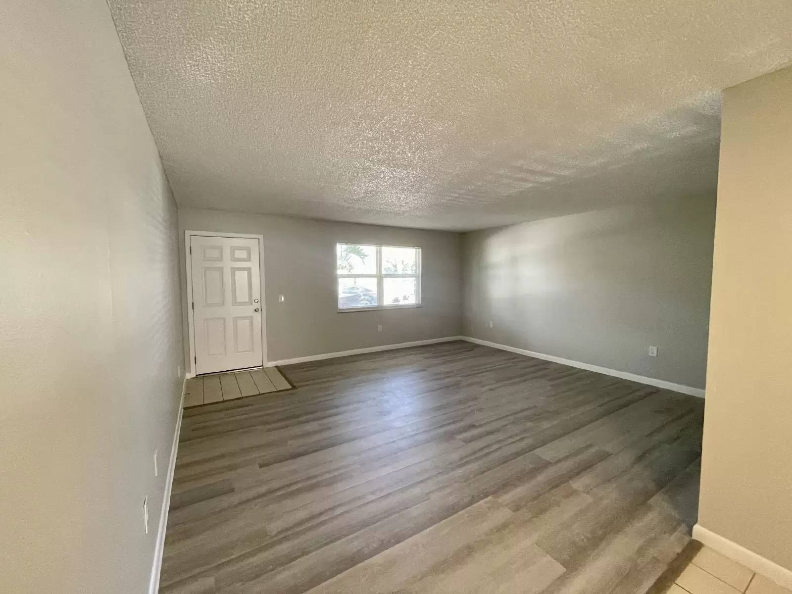 cover background