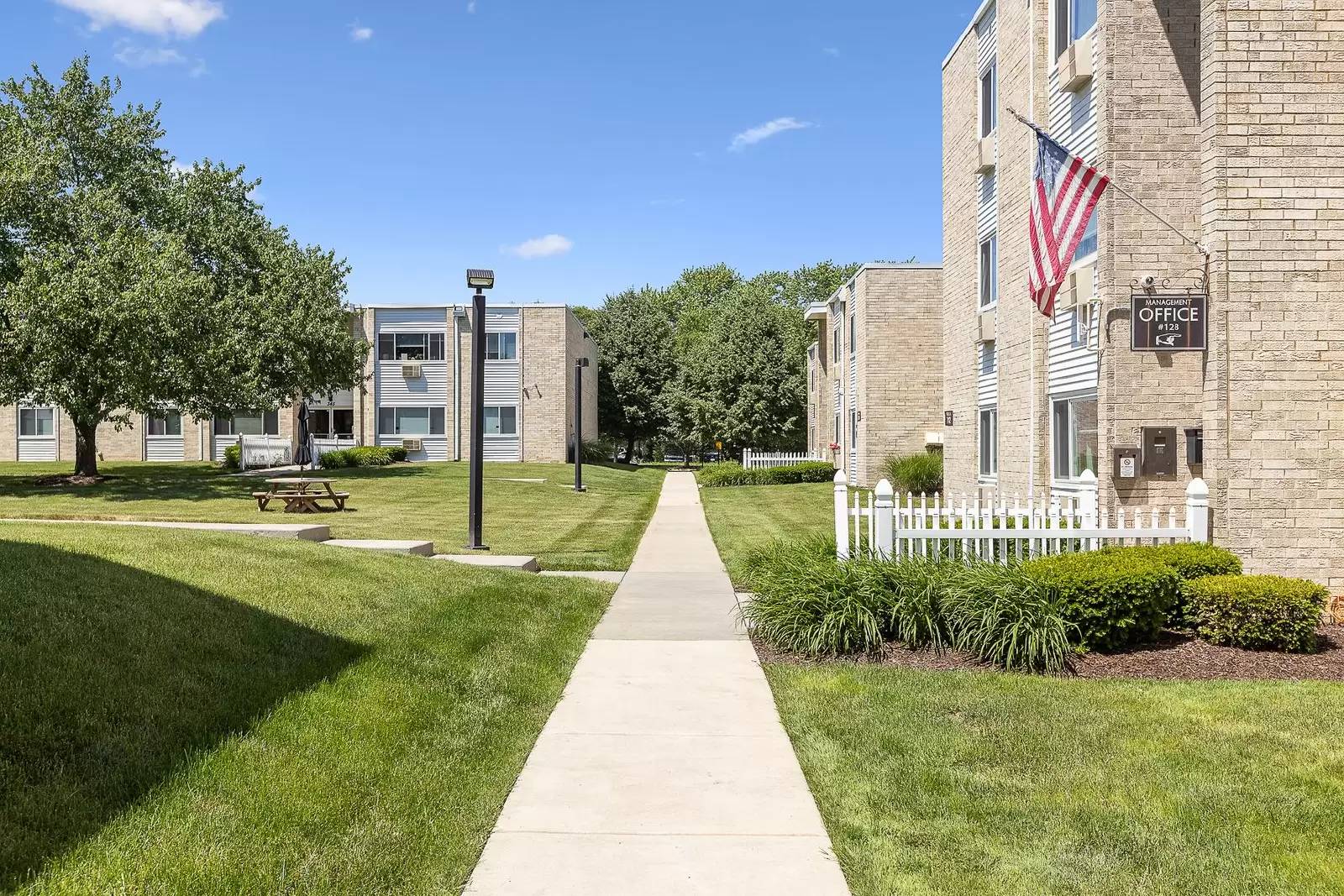 cover background
