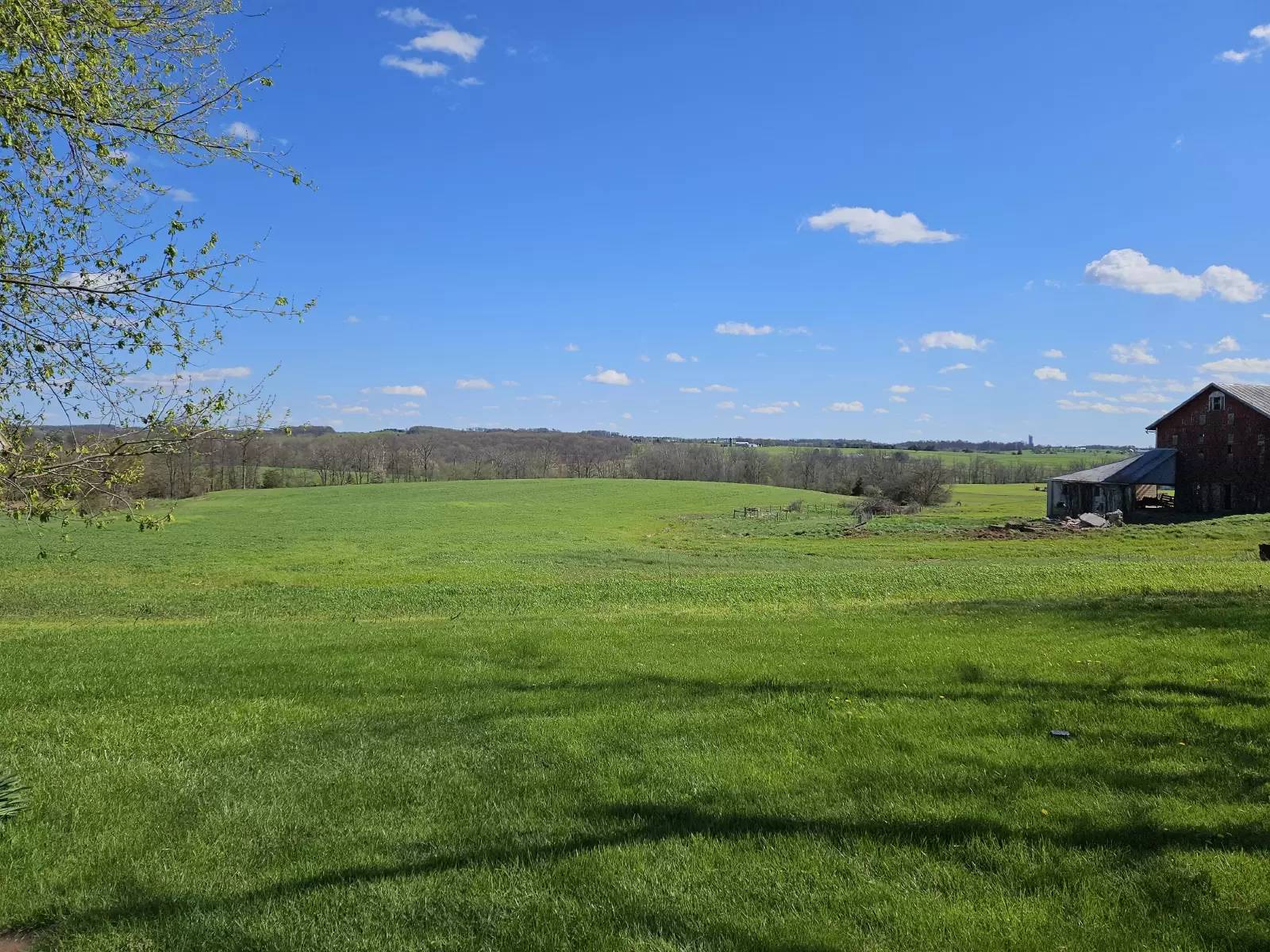 Property Image 63