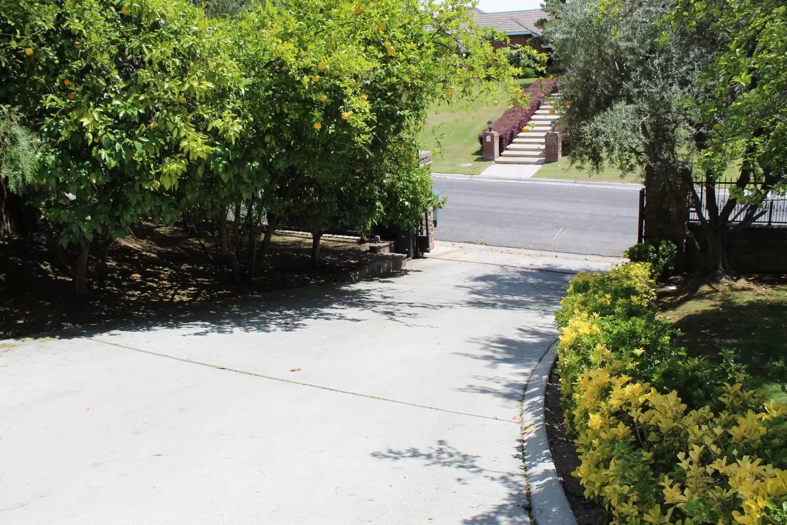 Property Image 51