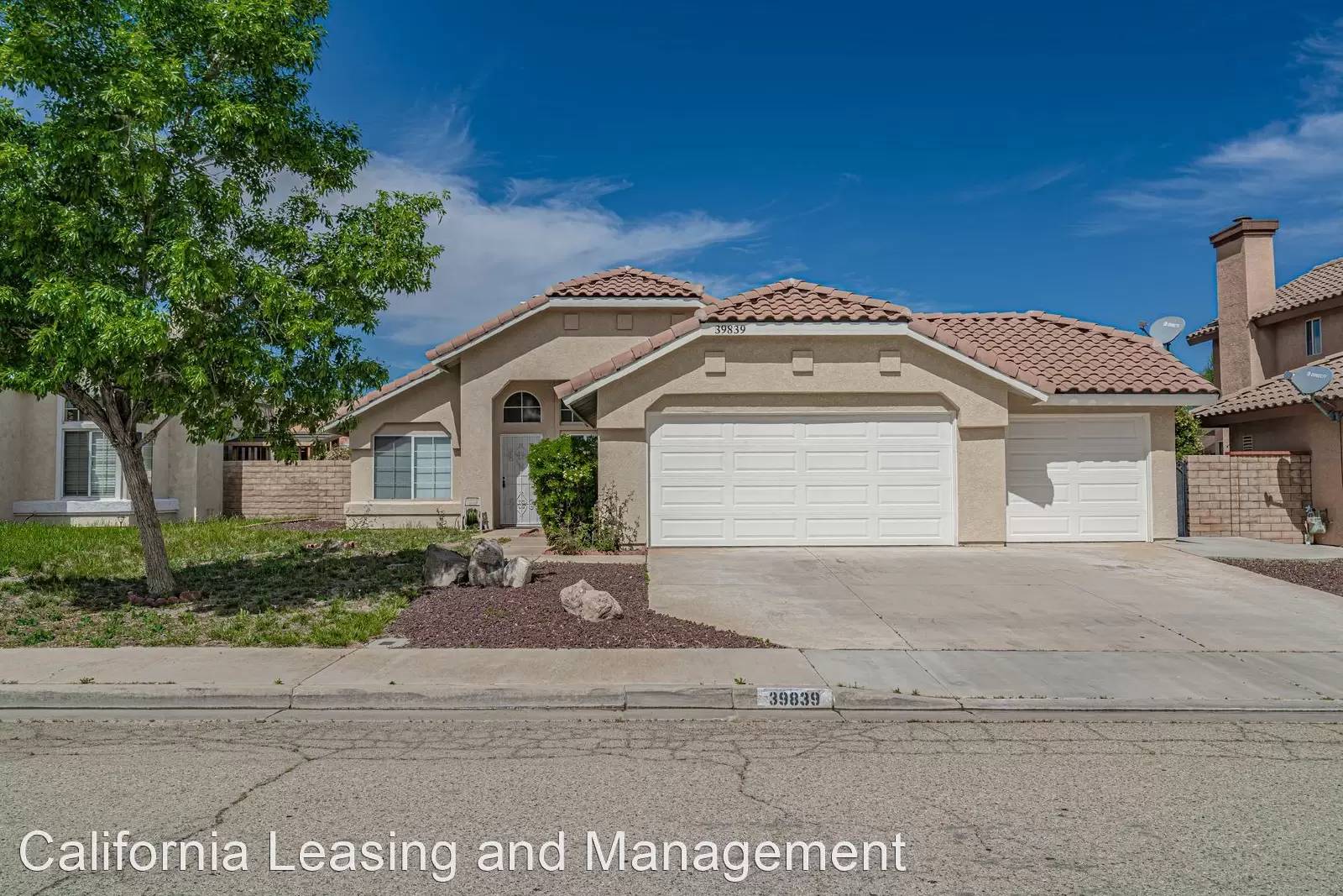 cover background