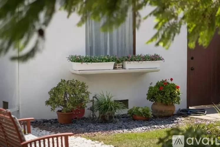 Property Image 60