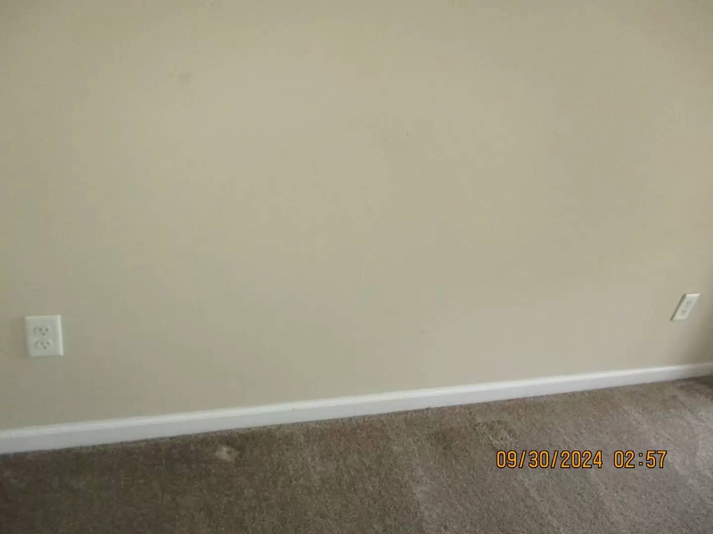 cover background