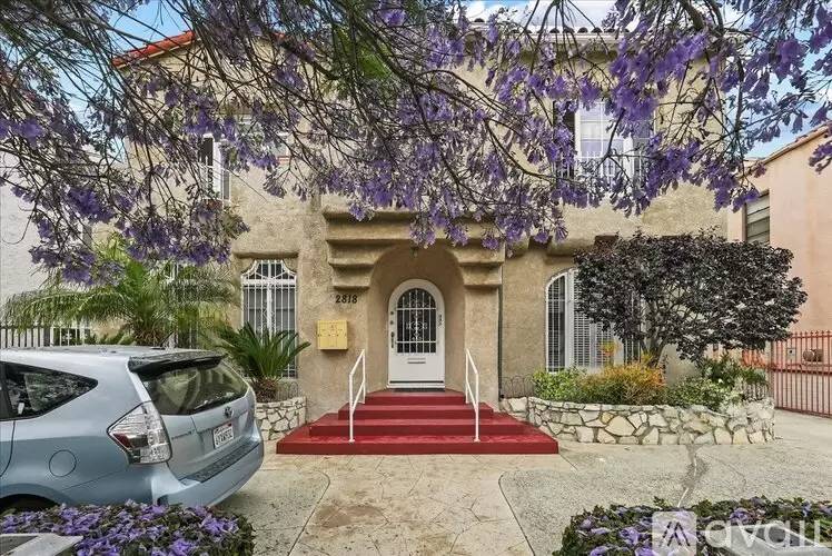 cover background
