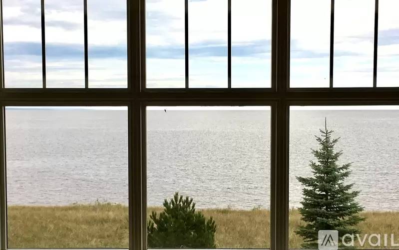 cover background