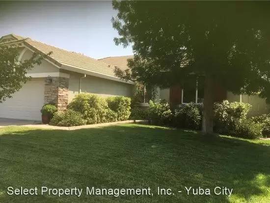 cover background