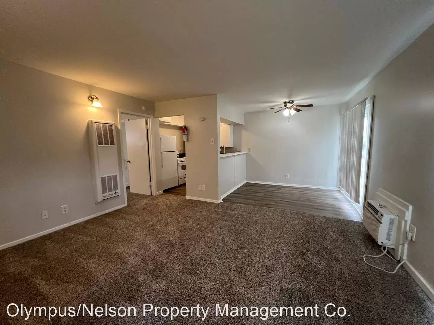 cover background