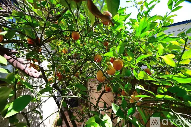 Property Image 56