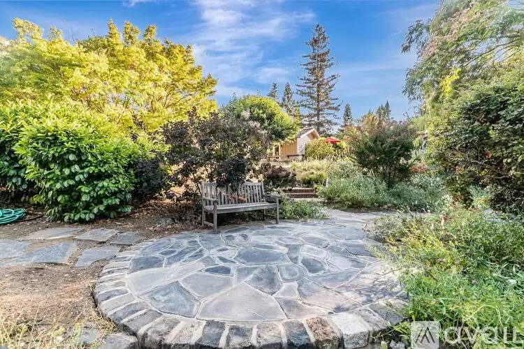 Property Image 59