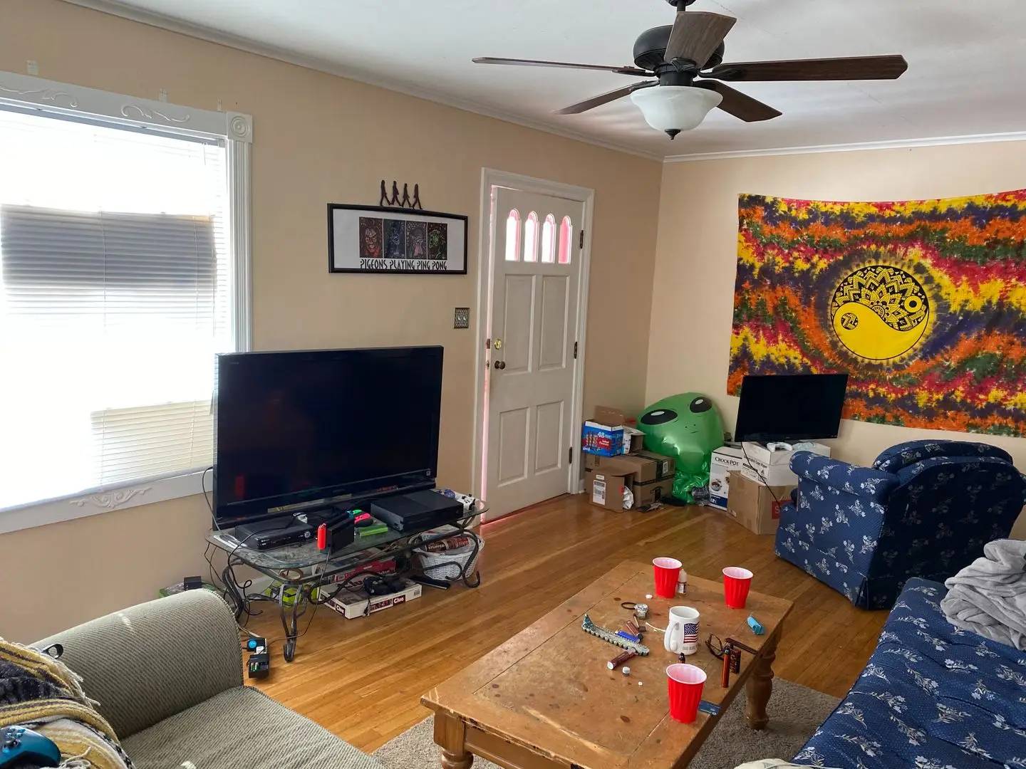 Property Image 15