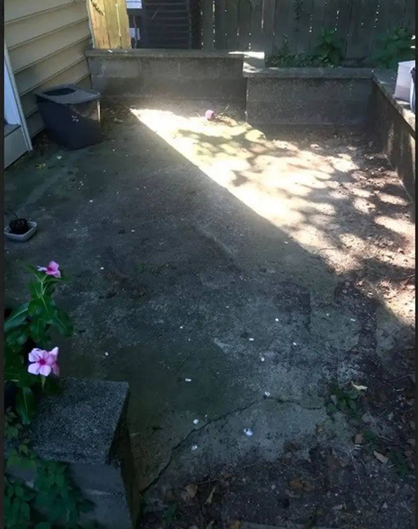 Property Image 65