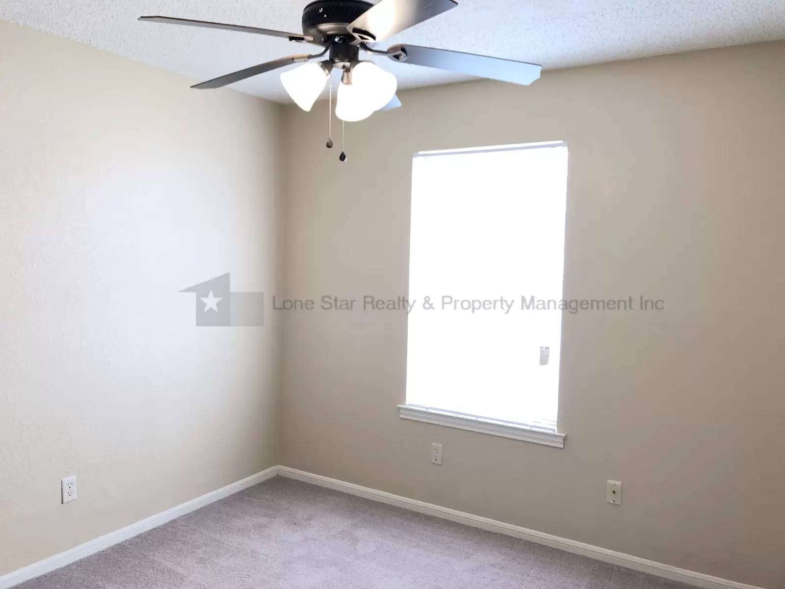 Property Image 58