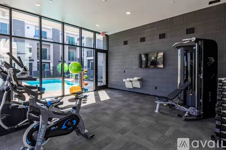 Property Image 62