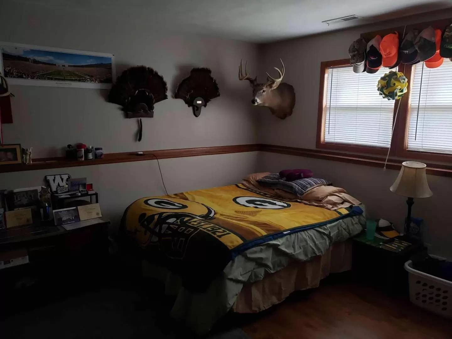 Property Image 11
