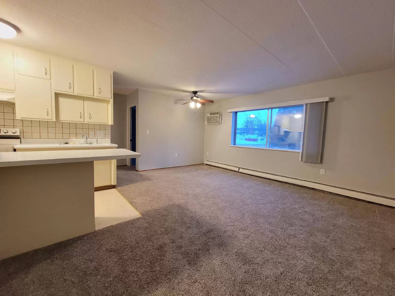 cover background