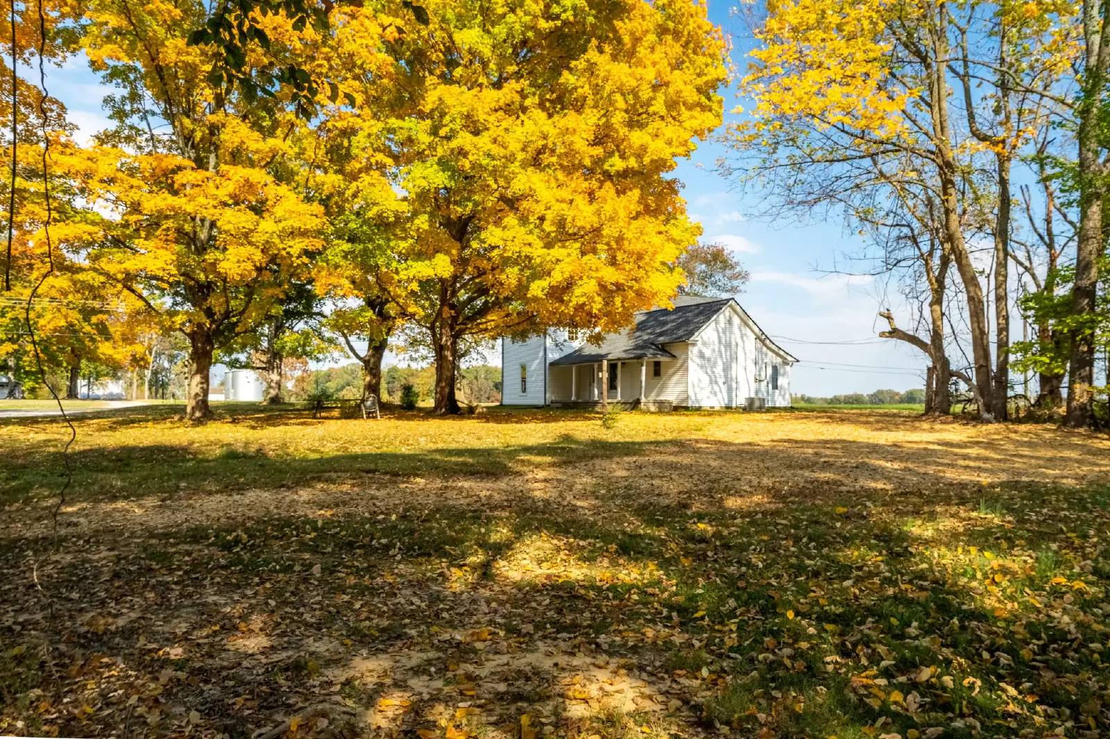 Property Image 34