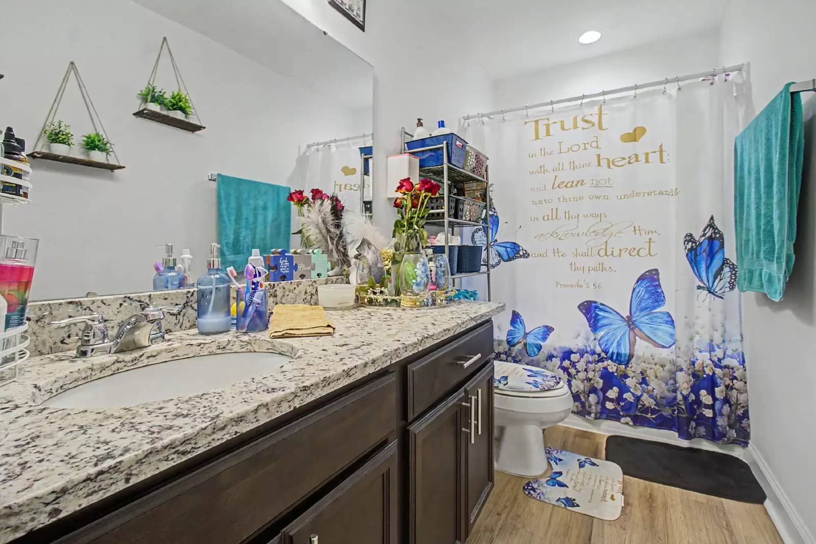 Property Image 22