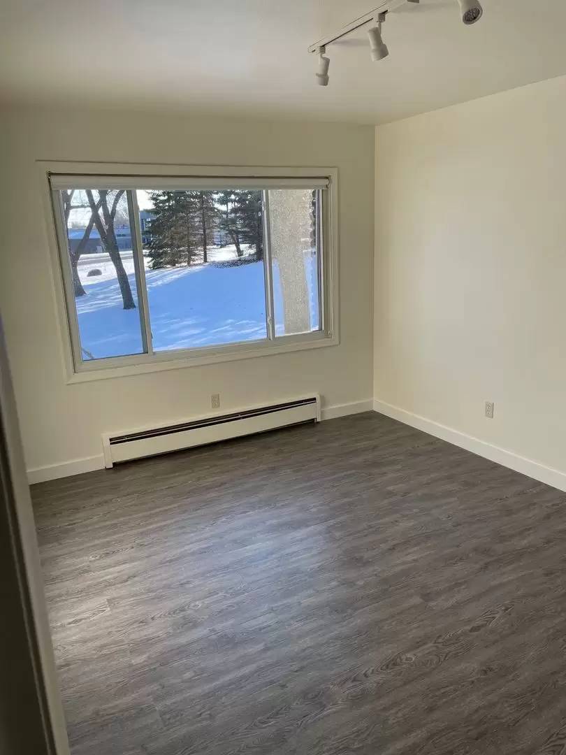 cover background