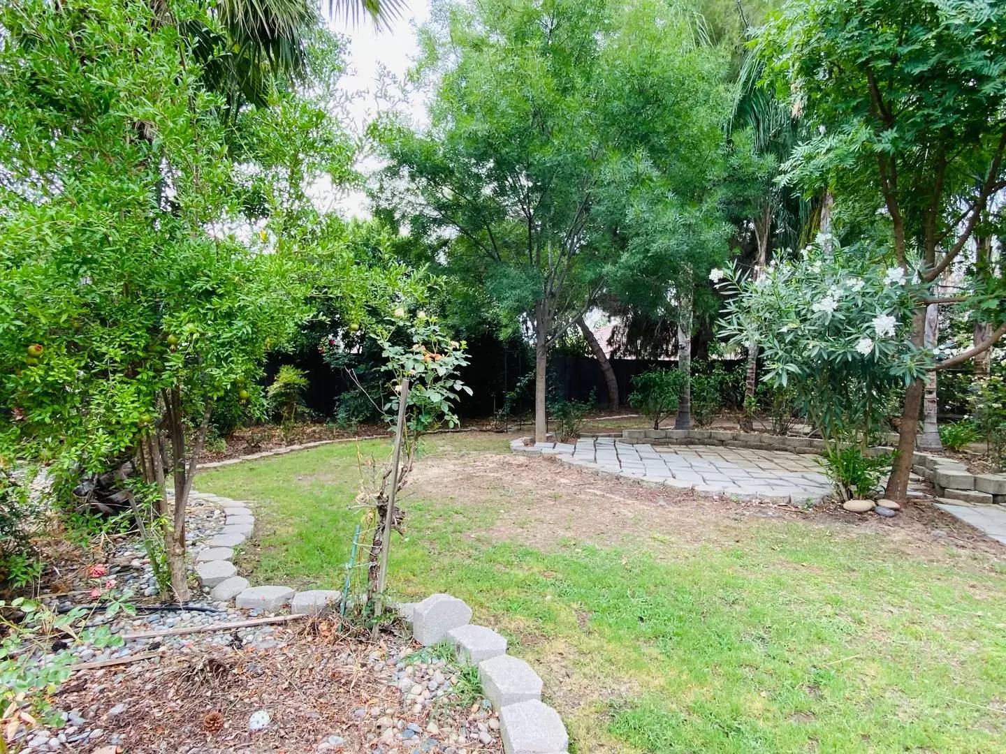 Property Image 58