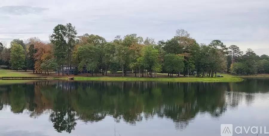 cover background