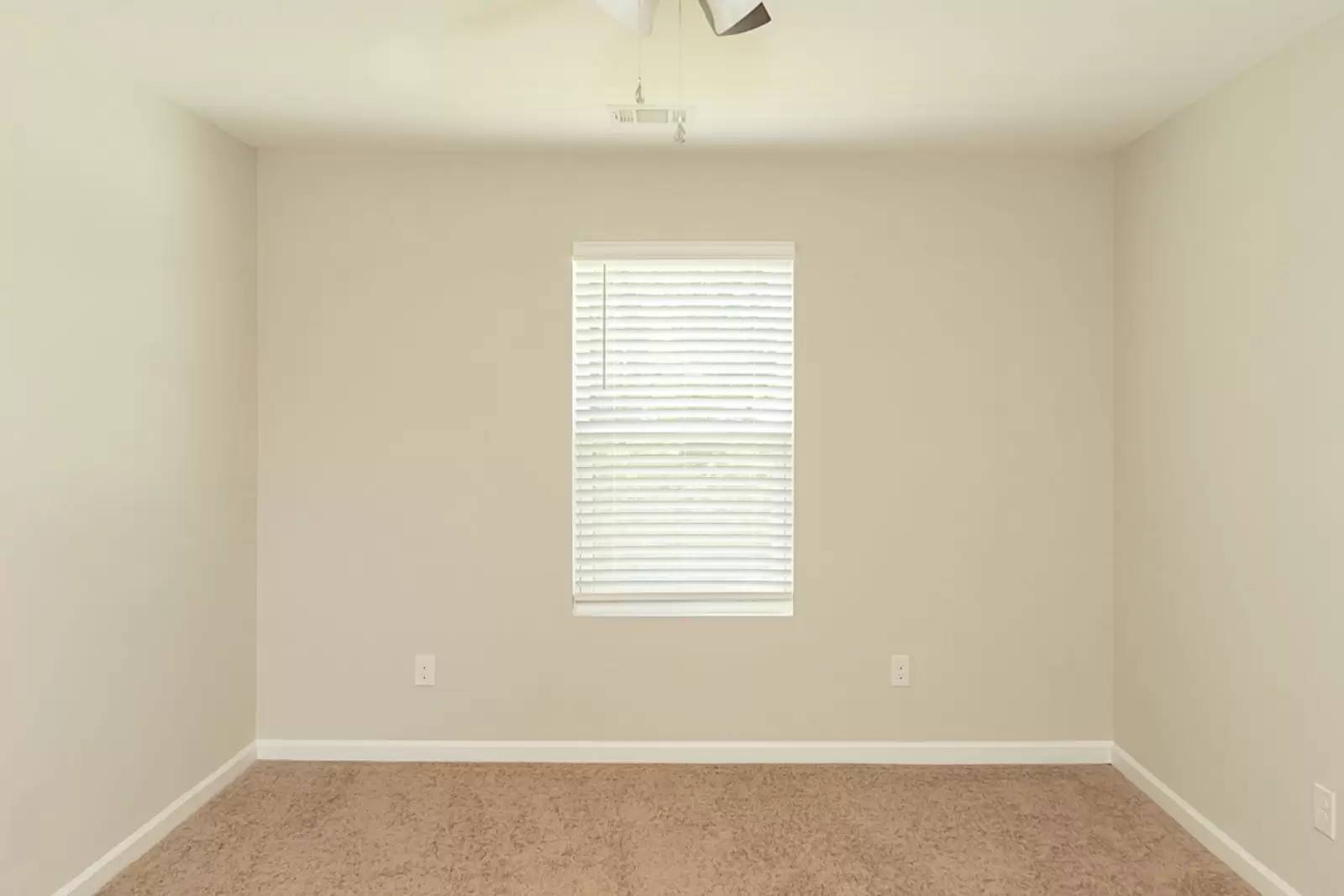 Property Image 79