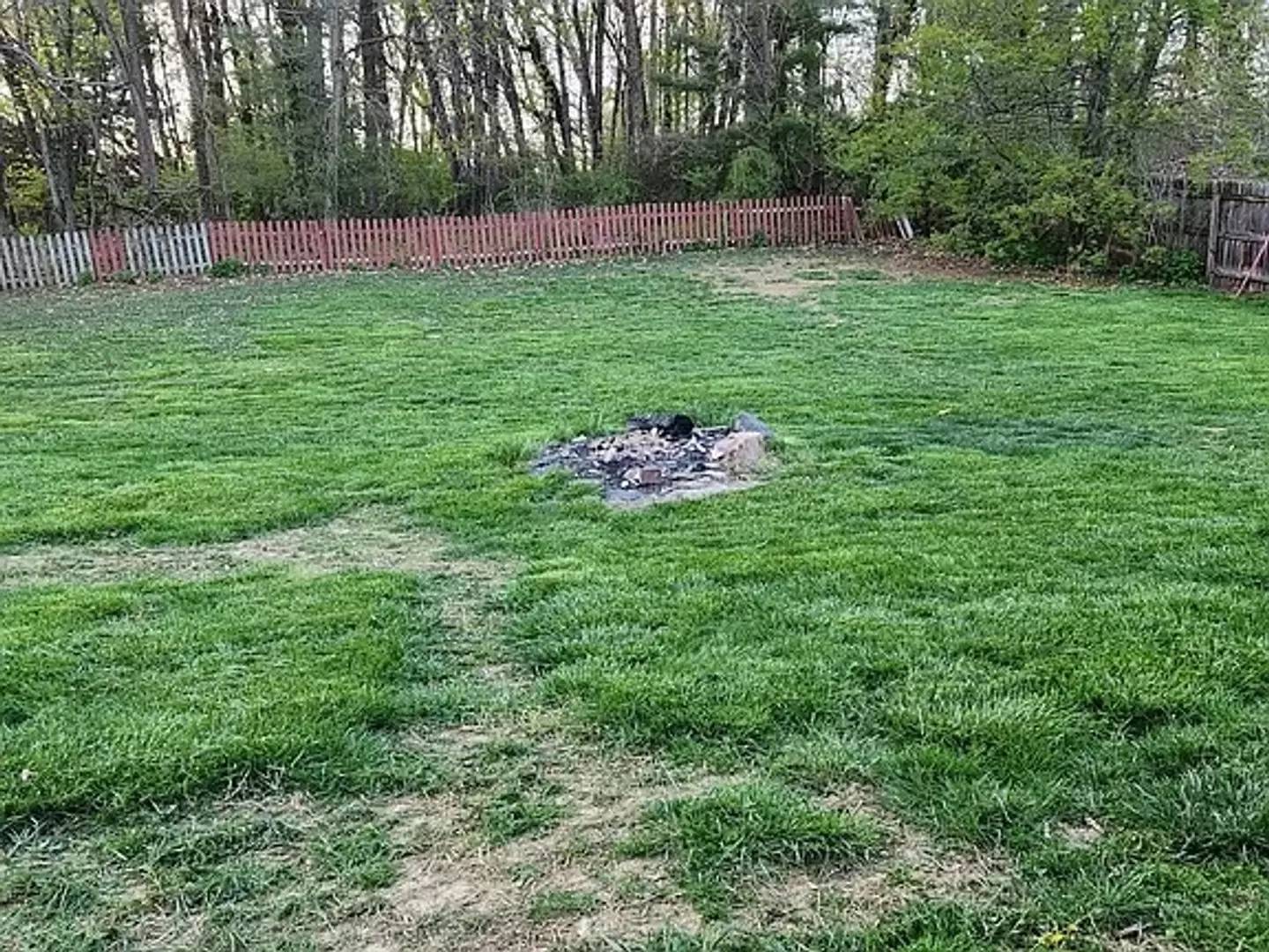 cover background
