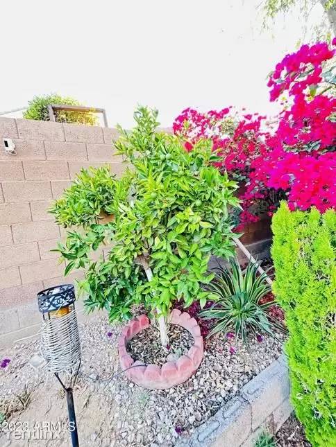 Property Image 60